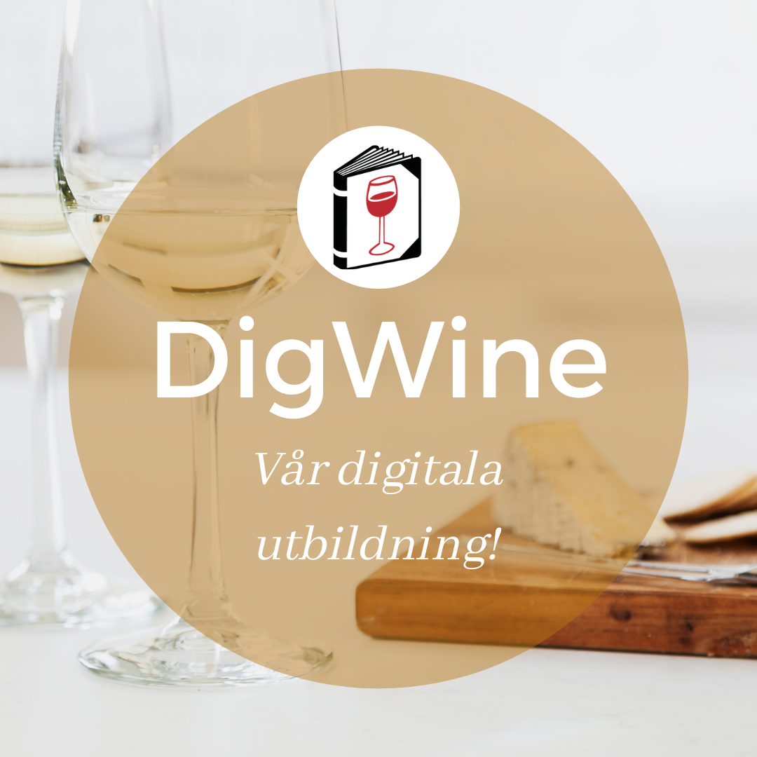 Vinkällan lanserar digital sommelierutbildning