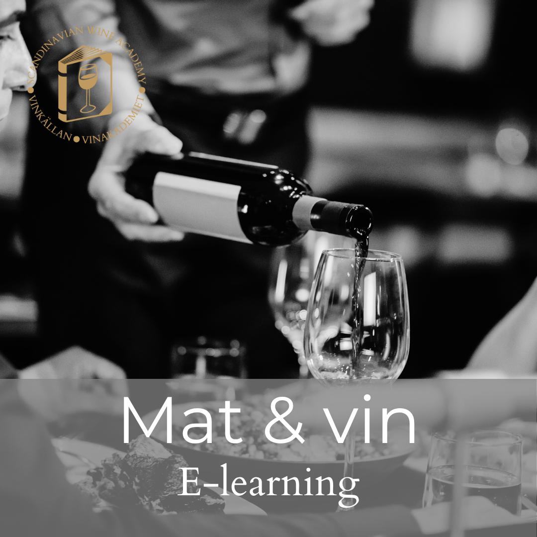 DigWine: Mat & vin - Hur du får en lyckad kombination!