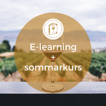 Ladda upp bild till gallerivisning, E-Learning + Sommarkurs
