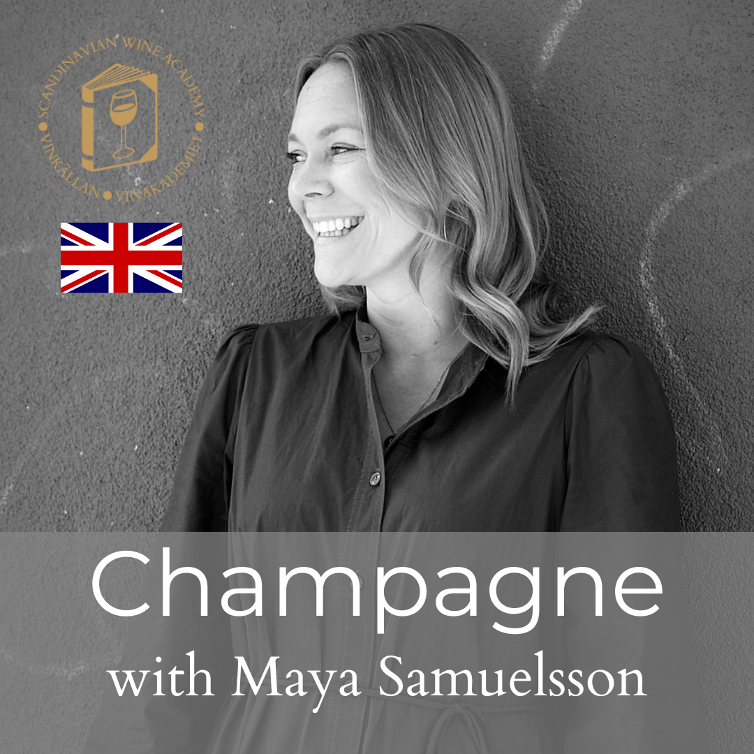 DigWine - Champagne (English) - Vinkällan Dryckesutbildningar