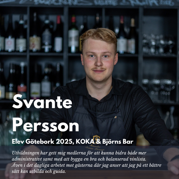 Elevporträtt Svante Persson