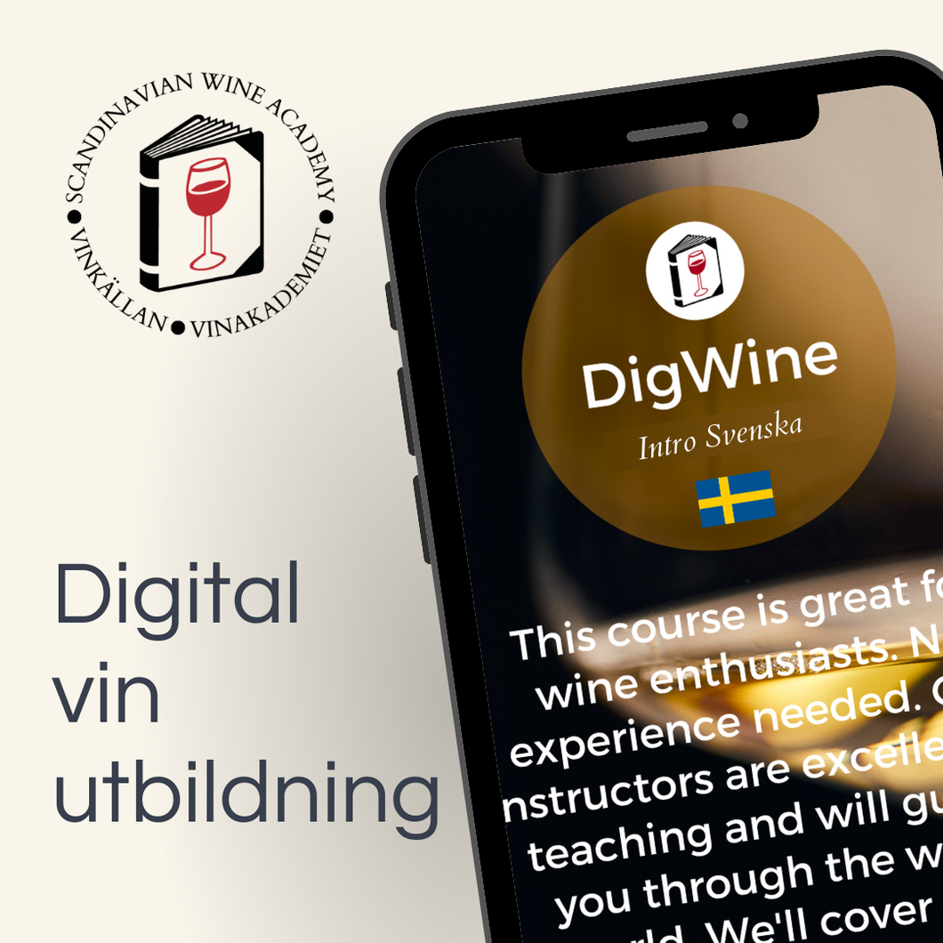 DigWine Intro - Svenska