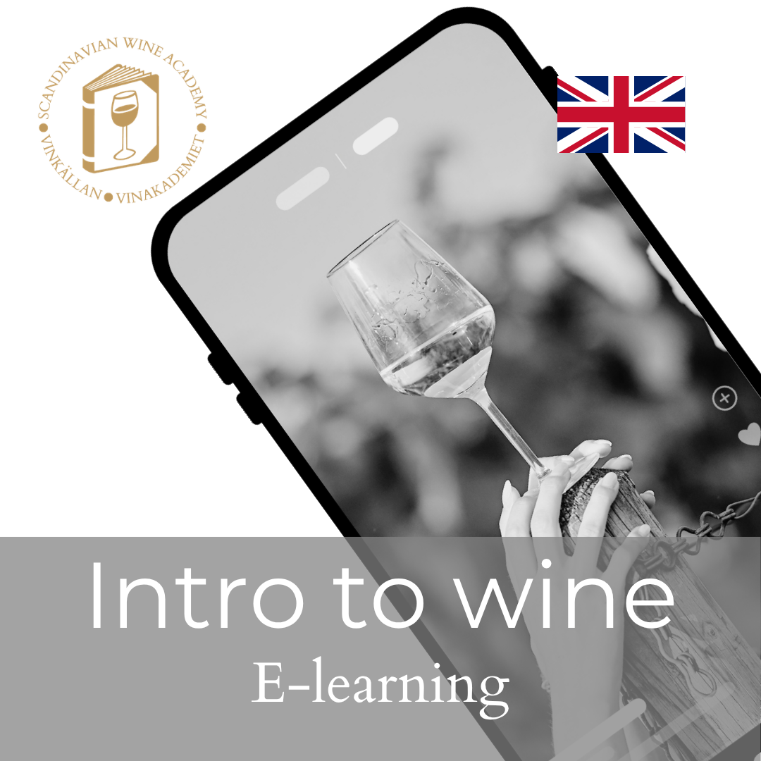 DigWine Intro - English
