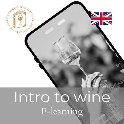 DigWine Intro - English
