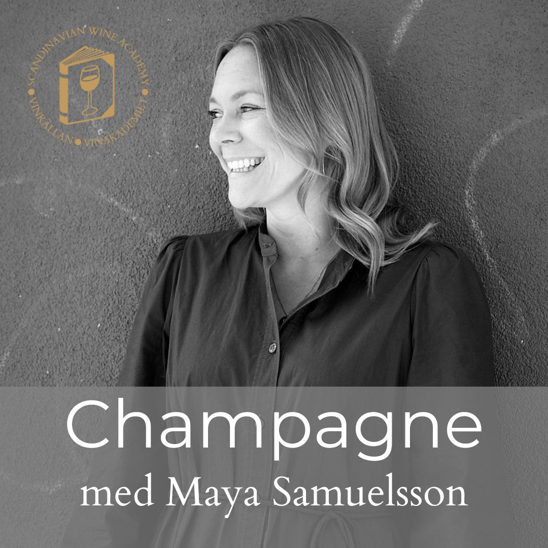 DigWine - Champagne - Sommelierutbildning