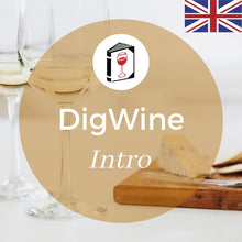 Ladda upp bild till gallerivisning, DigWine Intro - English - Sommelierutbildning
