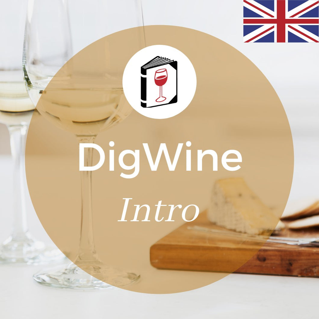 DigWine Intro - English - Sommelierutbildning