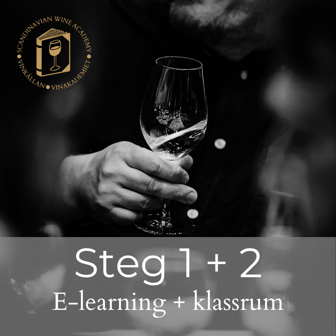 Digitala steg 1 + Steg 2