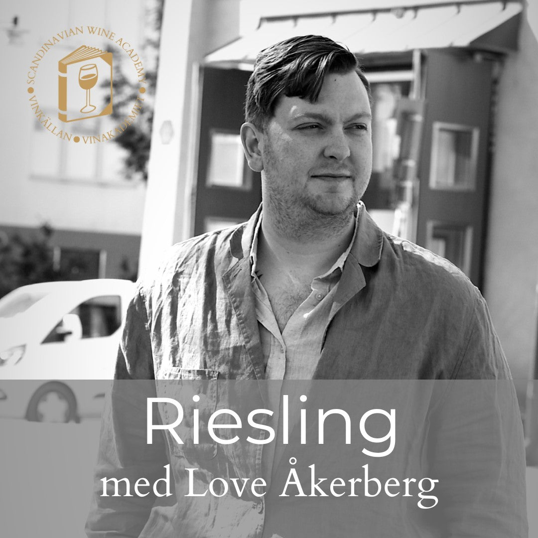 DigWine Vinprovning - Riesling - Sommelierutbildning