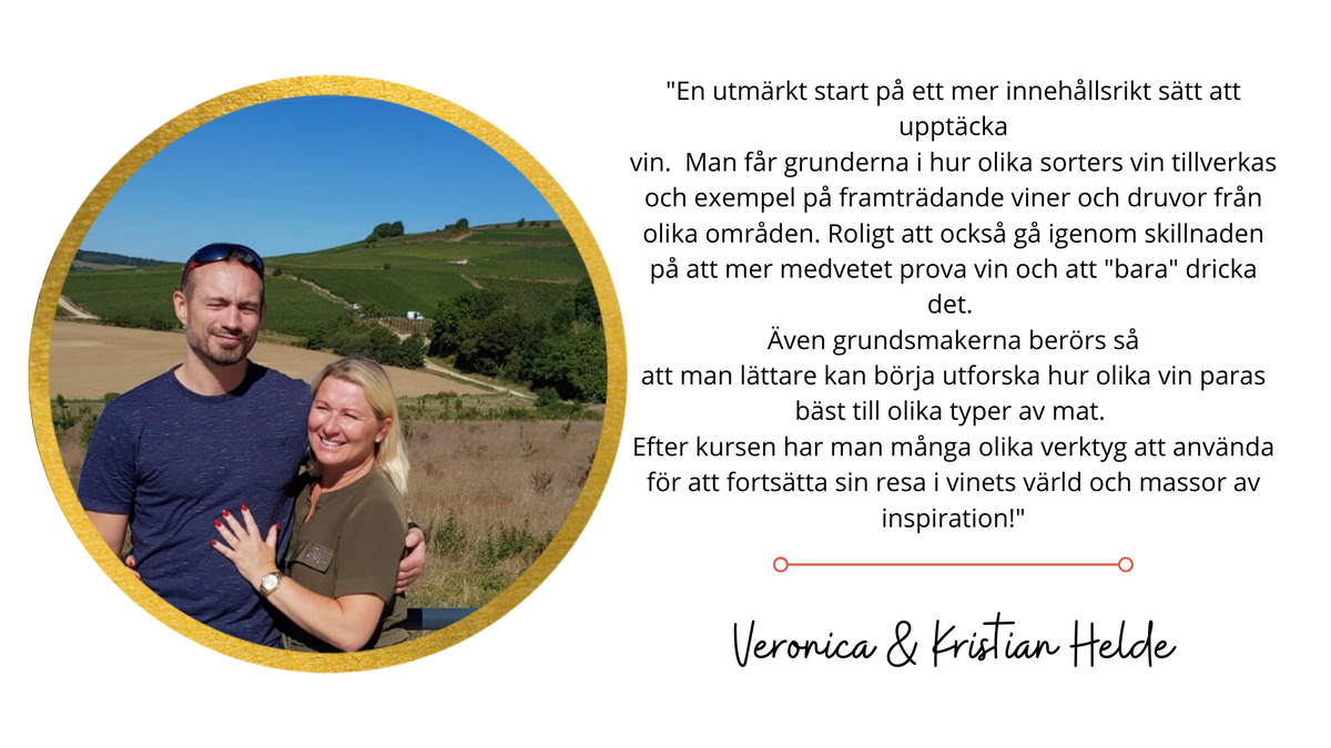 DigWine Intro - Svenska - Vinkällan Dryckesutbildningar