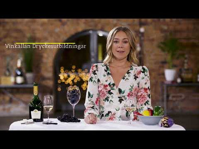 DigWine Intro - Svenska