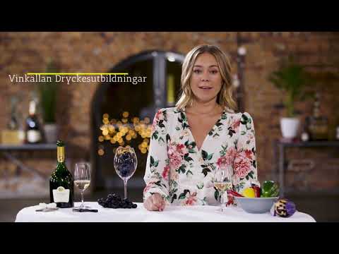 DigWine Intro - Svenska